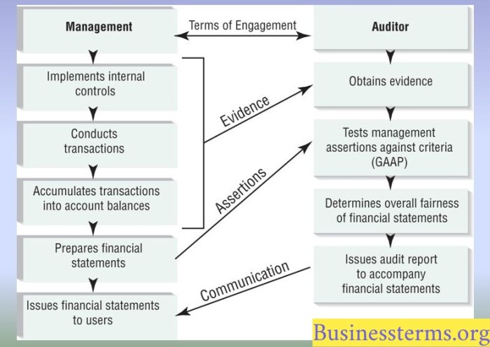 Financial audit statement process example purpose