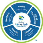 Financial Auditing Standards 2024